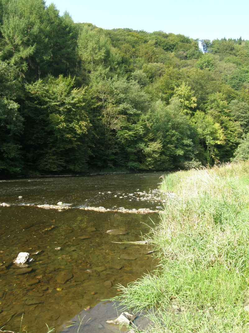 photo 13 promenade  Ourthe Nadrin Houffalize